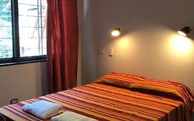 Lapacho Hostel Salta Coliving